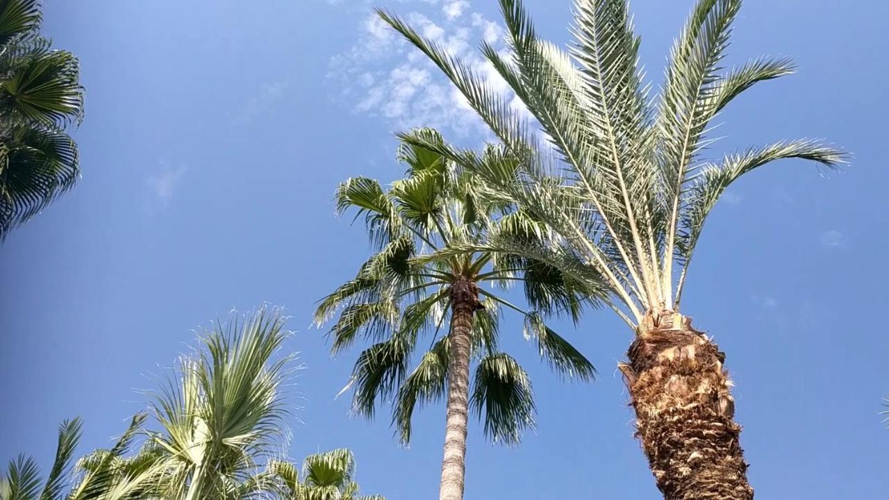 Fantastic 1 Bed Apartment By The Sea Opposite 4 Seasons Лімасол Екстер'єр фото